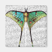 Vibrant Butterfly Magneet (Voorkant)