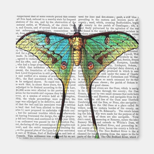 Vibrant Butterfly Magneet (Voorkant)