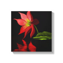 Vibrant Colorful Lily Pond Wrapped Canvas