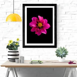 Vibrant Dahlia Foto Afdruk