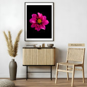 Vibrant Dahlia Foto Afdruk