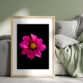 Vibrant Dahlia Foto Afdruk