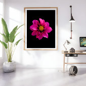 Vibrant Dahlia Foto Afdruk