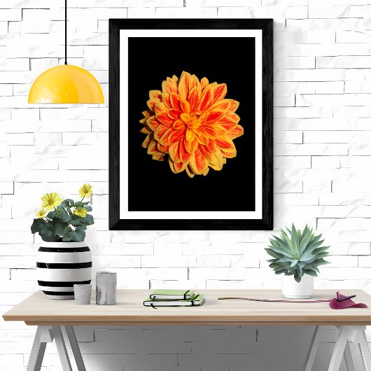 Vibrant Dahlia Foto Afdruk