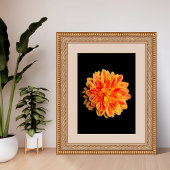 Vibrant Dahlia Foto Afdruk