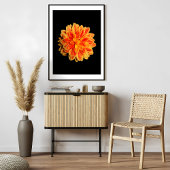 Vibrant Dahlia Foto Afdruk
