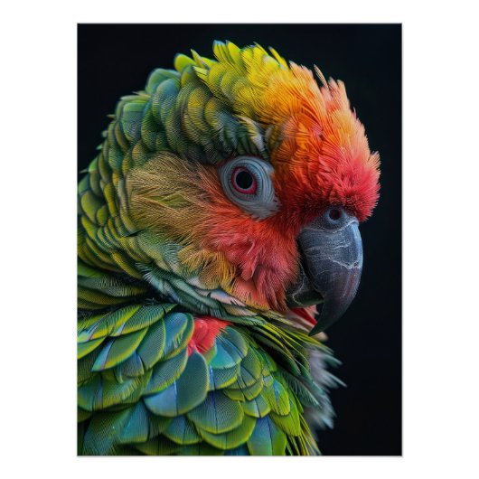 Vibrant Exotic Parrot Color Portrait Perfect Poster (Voorkant)