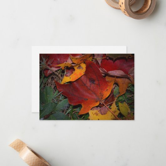 Vibrant Fall Leaves Notitiekaartje (Voorkant / Achterkant in situ)