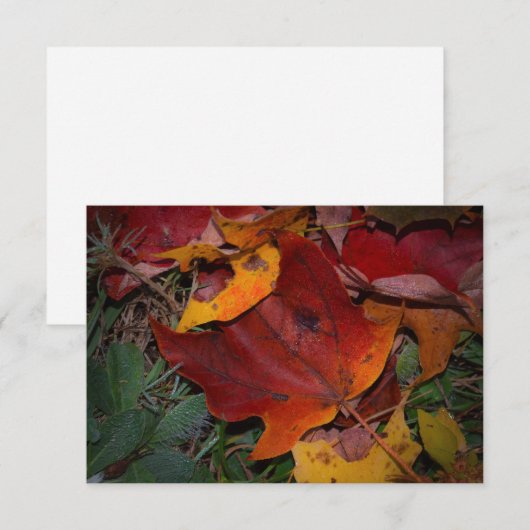 Vibrant Fall Leaves Notitiekaartje (Voorkant / Achterkant)