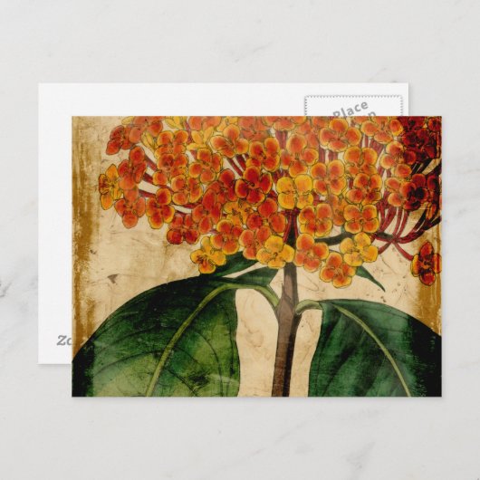 Vibrant Floral I Briefkaart (Voorkant / Achterkant)