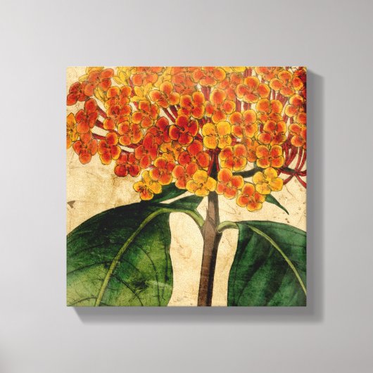 Vibrant Floral I Canvas Afdruk (Voorkant)