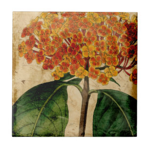 Vibrant Floral I Tegeltje