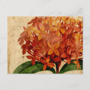 Vibrant Floral III Briefkaart