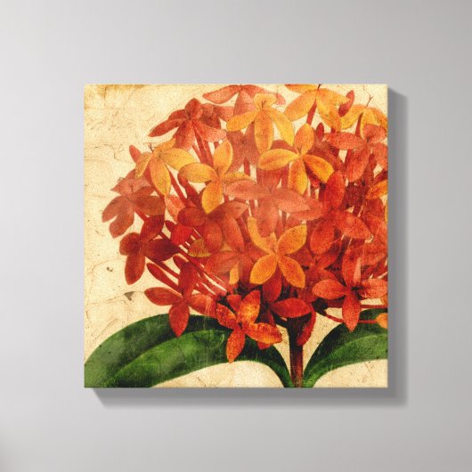 Vibrant Floral III Canvas Afdruk (Voorkant)