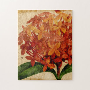 Vibrant Floral III Legpuzzel