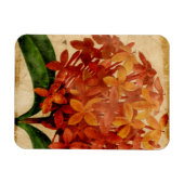 Vibrant Floral III Magneet (Horizontaal)