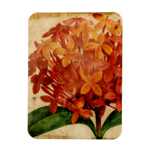 Vibrant Floral III Magneet