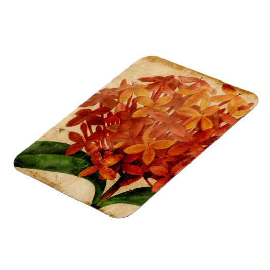 Vibrant Floral III Magneet (Linkerzijde)