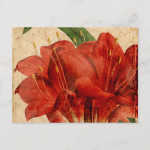 Vibrant Floral VIII Briefkaart