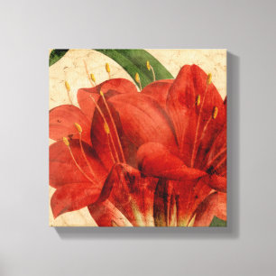 Vibrant Floral VIII Canvas Afdruk