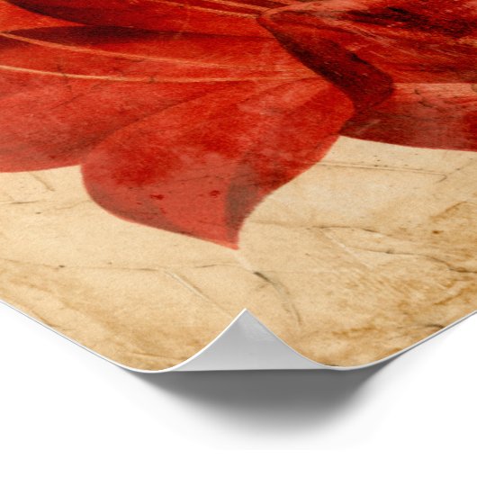 Vibrant Floral VIII Poster (Hoek)