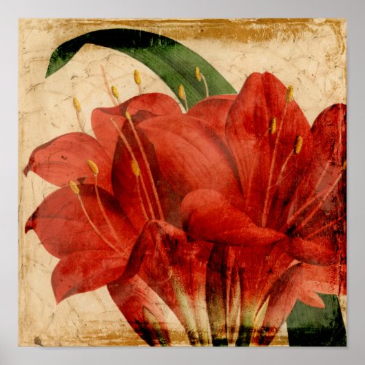 Vibrant Floral VIII Poster (Voorkant)