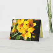 Vibrant Flowers Kaart (Achterkant)