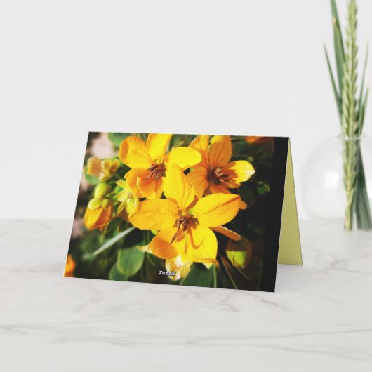 Vibrant Flowers Kaart (Achterkant)