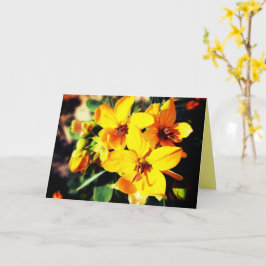 Vibrant Flowers Kaart