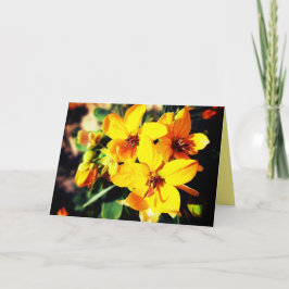 Vibrant Flowers Kaart