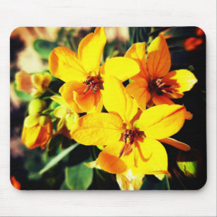 Vibrant Flowers Muismat