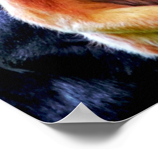 Vibrant Foto van apen in Wildlife Park Poster (Hoek)