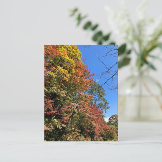 Vibrant gekleurde mazelen briefkaart (Staand voorkant)