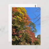 Vibrant gekleurde mazelen briefkaart (Voorkant / Achterkant)