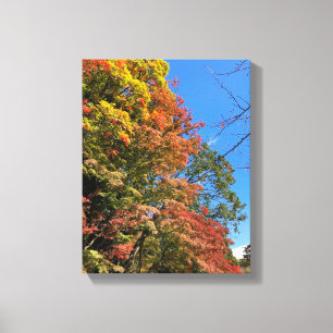 Vibrant gekleurde mazelen canvas afdruk