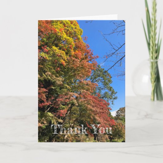 Vibrant gekleurde mazelen kaart (Voorkant)