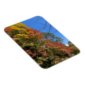 Vibrant gekleurde mazelen magneet (Rechterzijde)