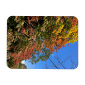 Vibrant gekleurde mazelen magneet (Horizontaal)