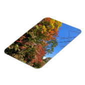 Vibrant gekleurde mazelen magneet (Linkerzijde)