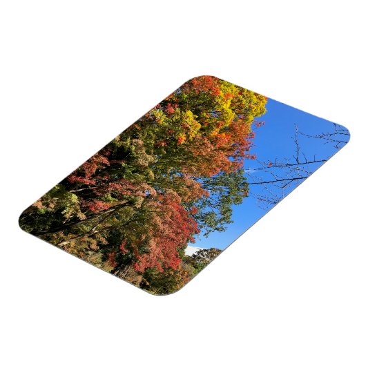 Vibrant gekleurde mazelen magneet (Linkerzijde)