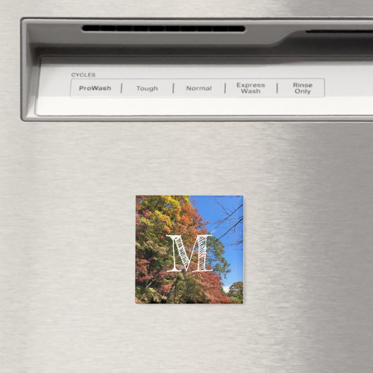 Vibrant gekleurde mazelen magneet (Insitu (Vaatwasser))