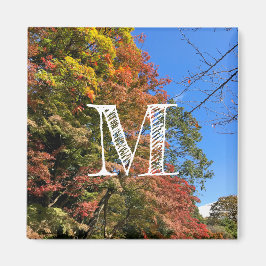 Vibrant gekleurde mazelen magneet