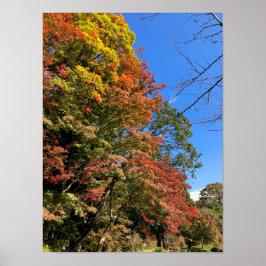 Vibrant gekleurde mazelen poster