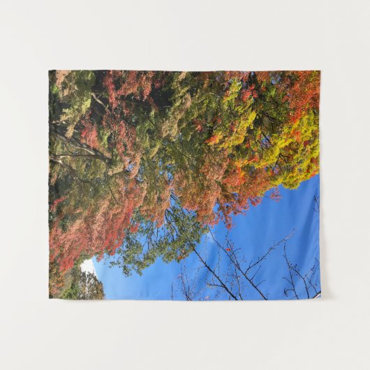 Vibrant gekleurde mazelen wandkleed (Voorkant (horizontaal))