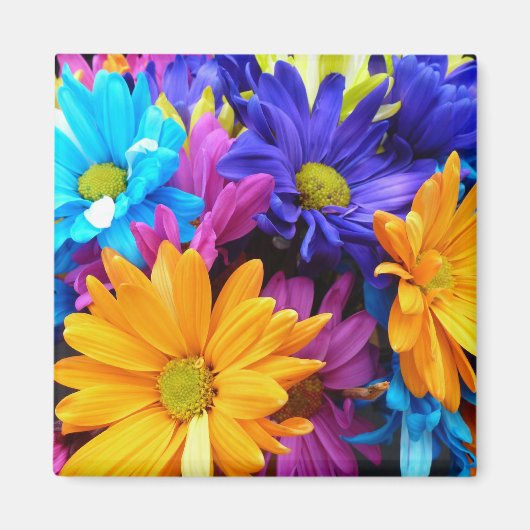 Vibrant Gerbera Daisy Bouquet Magneet (Voorkant)