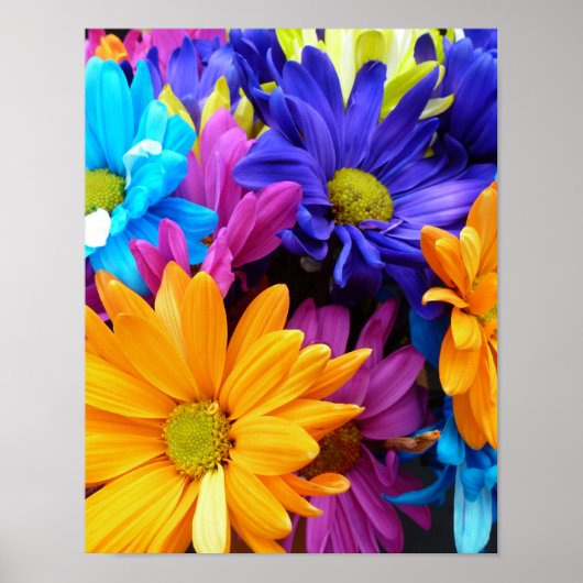 Vibrant Gerbera Daisy Bouquet Poster (Voorkant)