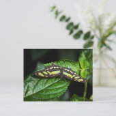 Vibrant Green Briefkaart (Staand voorkant)