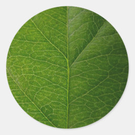 Vibrant Green Leaf Round Sticker - Natuur schoonhe