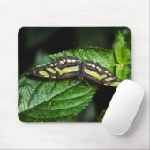 Vibrant Green Mousepad Muismat (Met muis)