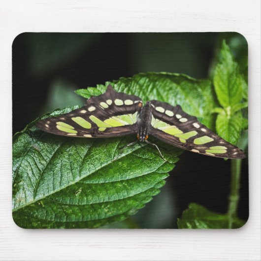 Vibrant Green Mousepad Muismat (Voorkant)
